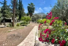 Photo of Angels Garden Olympos