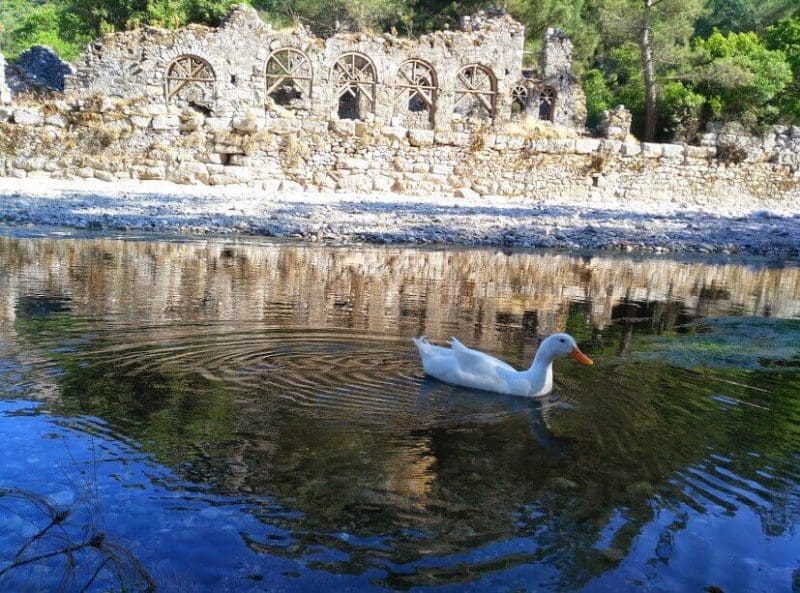 What to do in Olympos at night?