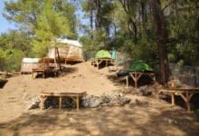 Photo of Olympos Campsites and Caravan Campsites