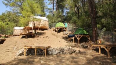 Photo of Olympos Campsites and Caravan Campsites