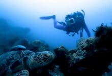 Photo of Olympos Scuba Diving: Duration, Details and 2025 Tour Price