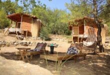 Photo of Yalınayak Olympos