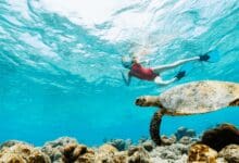 Photo of Everything About Olympos , Olympos General Information