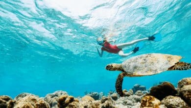 Photo of Olympos Promotional Video , Olympos Video