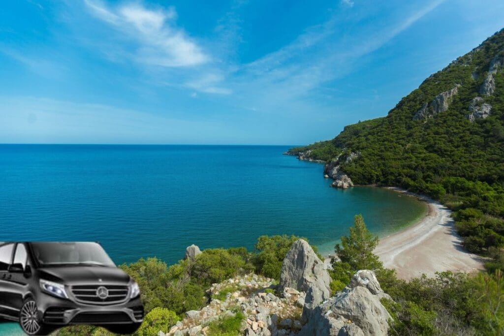 Car rental process