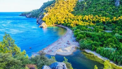 Photo of Antalya – Olympos Transportation by Taxi (Price 2025)