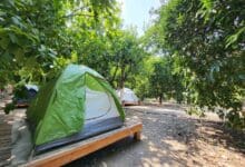 Photo of Halanın Yeri