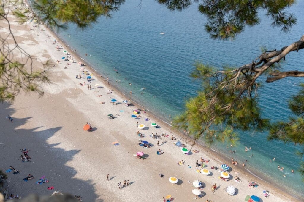 Olympos Car Rental, 2024 Rental Prices