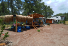 Photo of Olympos Doğa Camping