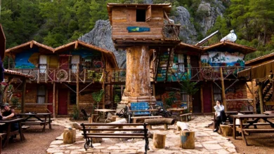 Photo of What to Buy in Olympos? Shopping in Olympos
