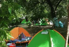 Photo of Olympos Free Campsites and Caravan Sites