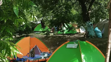 Photo of Olympos Free Campsites and Caravan Sites