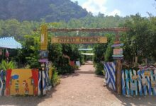 Photo of Asilay Camping Olympos