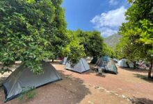 Photo of Mandalin Camping