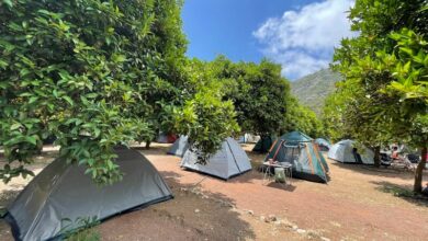 Photo of Mandalin Camping