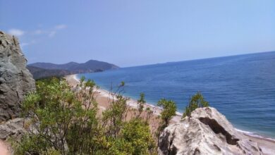 Photo of Important Phone Numbers for Vacationers in Olympos