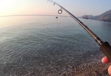 Photo of Fishing Guide in Olympos and Çıralı Coast