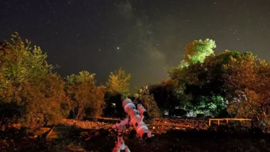  fotoğrafı