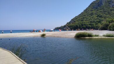  fotoğrafı