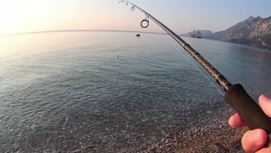  fotoğrafı