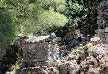  fotoğrafı