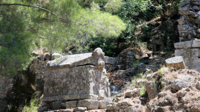  fotoğrafı